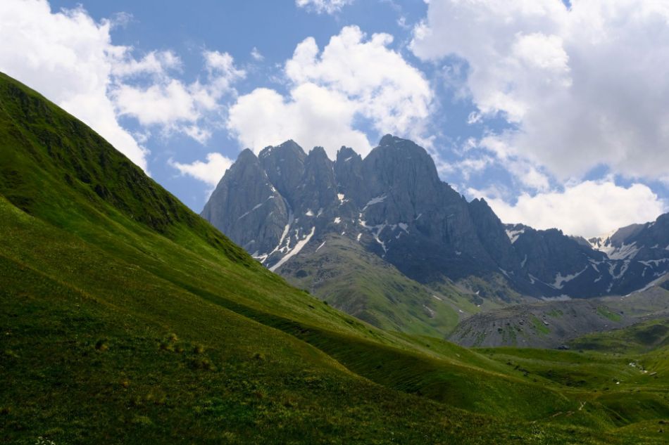 Foresta di Ceresole Reale: i funghi tra i Giganti delle Alpi Graie